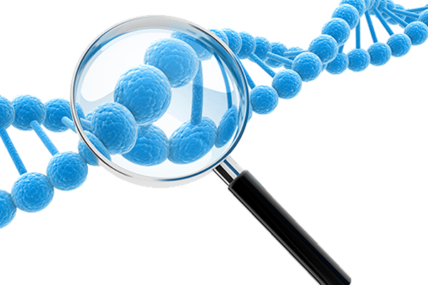 Magnifying glass over a DNA helix