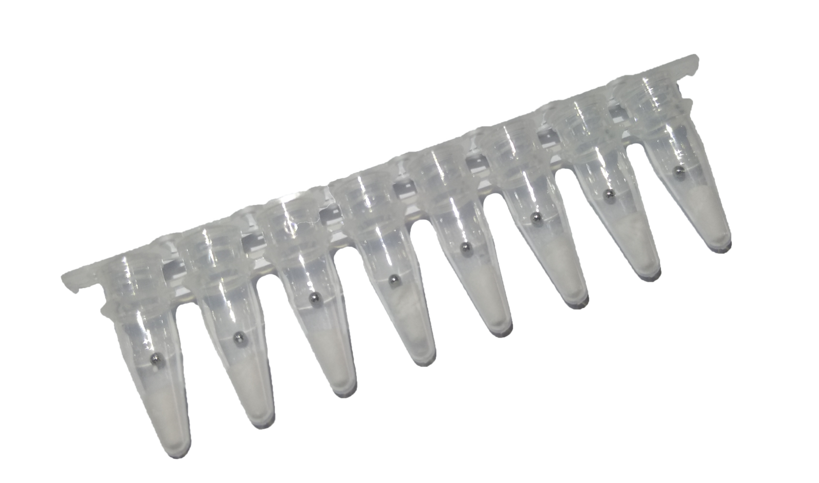 8-tube strip of lyophilised RAA reagent